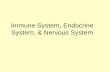 Immune System, Endocrine System, & Nervous System.