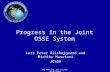 LWG Meeting, Bar Harbor, 06/01/2010 Progress in the Joint OSSE System Lars Peter Riishojgaard and Michiko Masutani JCSDA.