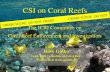 CSI on Coral Reefs CRIME SCENE DO NOT CROSSCRIME SCENE DO NOT Dave Gulko Lead, ICRI Committee on Coral Reef Enforcement & Investigation The ICRI Committee.