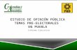Informe Ejecutivo ESTUDIO DE OPINIÓN PÚBLICA TEMAS PRE-ELECTORALES EN PUEBLA.