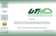Proyecto: Alternativas de Manejo Integrado para mosca (Musca domestica) en la Universidad Tecnológica de Tehuacán Carrera: Agricultura Sustentable y Protegida.