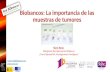Biobancos: La importancia de las muestras de tumores Nuria Ajenjo Plataforma Red Nacional de Biobancos Centro Nacional de Investigaciones Oncológicas Fuente.