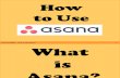 How to Use Asana: Your Optimum Project and Task Organizer