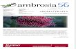 Ambrosia 56