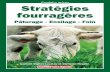 Stratégies Fourrageres L. Vignau-Loustau Et C. Huyghe