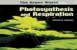 Photosynthesis and Respiration (Hopkins W.G., 2006)