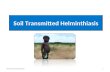 Soil Transmitted Helminthiasis [Parasitology]