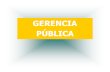 GEPU - UNMSM - Gerencia Pública