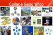 Collage Geografico