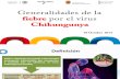 Generalidades Chik V.pdf