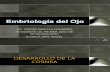 Ciencias Básicas. Embriología Del Ojo (OPN)