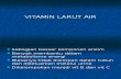 Copy of Vitamin Larut Air