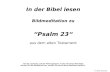In der Bibel lesen Bildmeditation zu “Psalm 23“ aus dem alten Testament mit der Leertaste, mit der Richtungstaste  oder mit einem Mausklick starten Sie.