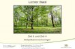 Lichter Wald Ansprechpartner: Dr. Mattias Rupp FVA, Abteilung Waldnaturschutz 1 Ziel 3 und Ziel 4 Multiplikatorenschulungen -Verantwortlich für den Inhalt: