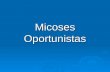 Micoses Oportunistas. Referências:  Cimerman S, et all. Condutas em Infectologia. São Paulo; Atheneu, 2004.  Mandell L G, et all. Principles and Practice.