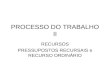 PROCESSO DO TRABALHO II RECURSOS PRESSUPOSTOS RECURSAIS e RECURSO ORDINÁRIO.