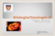 Biologia/Geologia II Unidade 6 – Reprodução Reprodução sexuada Magda Charrua BG II 2011/2012 COLÉGIO DA LAPA 1.
