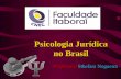 Psicologia Jurídica no Brasil Professora Sthefani Nogueira.