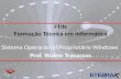FTIN Formação Técnica em Informática Sistema Operacional Proprietário Windows Prof. Walter Travassos.
