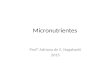 Micronutrientes Profª Adriana de S. Nagahashi 2015.