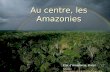 Au centre, les Amazonies État d’Amazonas, Brésil Source : ://.