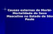 Causas externas de Morbi- Mortalidade do Sexo Masculino no Estado de São Paulo.