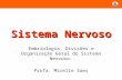 Sistema Nervoso Embriologia, Divisões e Organização Geral do Sistema Nervoso. Profa. Mirelle Saes.