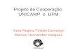 Projeto de Cooperação UNICAMP e UPM Vera Regina Toledo Camargo Manuel Hernandez Vazquez.