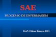 PROCESSO DE ENFERMAGEM Profª. Fátima Franco-2011 SAE.