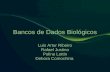 Bancos de Dados Biológicos Luis Artur Ribeiro Rafael Justino Poline Lottin Debora Comochina.