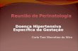 Doença Hipertensiva Específica da Gestação Carla Toni Marcelino da Silva.