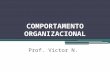COMPORTAMENTO ORGANIZACIONAL Prof. Victor N.. COMPORTAMENTO ORGANIZACIONAL.