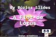 A Flor de Lótus A Flor de Lótus By Búzios Slides Avanço automático.
