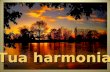 Tua harmonia Para que vivas em harmonia com os outros e estes contigo, necessita manter um programa pessoal, mínimo que seja, indispensável aos resultados.