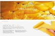 Yellow Slice design Mumbai Profile 2015