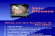 Skin Disease Final