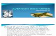 42628580 Aviation Insurance