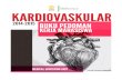 BPKM Kardiovaskular Reg 14-15