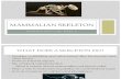 Mammalian Skeleton Practical