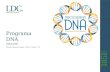 DNA - Inducción