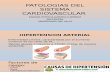 Patologias Cardiovascular