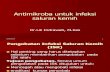 Antimikroba Sistemik Dan Antiseptik Untuk UTI