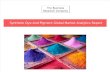 Synthetic Dye and Pigment Global Market Analytics Report Released By The Business Research Company