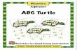 ABC Turtle