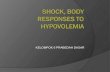 Shock, Body Responses to Hypovolemia Kel 6