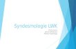 Syndesmologie LWK Powerpoint