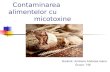 Contaminarea Alimentelor Cu Micotoxine