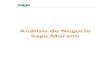 Manual Análisis de Negocio Finanzas Sage Murano