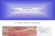 Prakt Modul Muskuloskeletal PSPD 100107