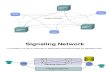 Transport Networks Signaling ISDN